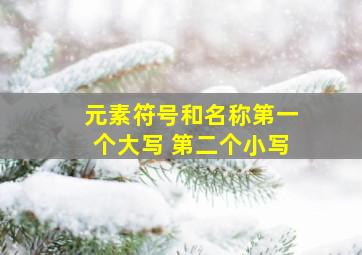 元素符号和名称第一个大写 第二个小写